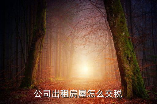 企業(yè)承租房屋交什么稅，公司租賃房屋需要交哪些稅