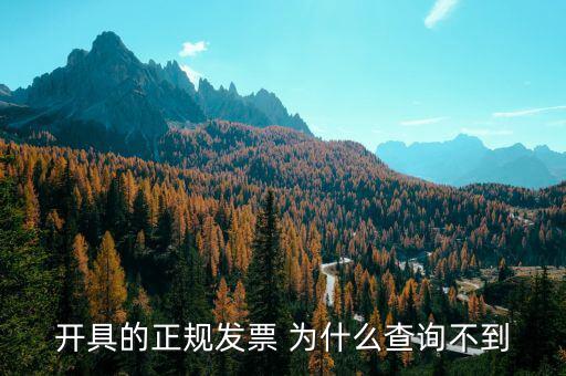 開具的正規(guī)發(fā)票 為什么查詢不到