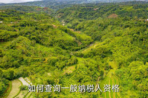 如何查詢(xún)一般納稅人資格