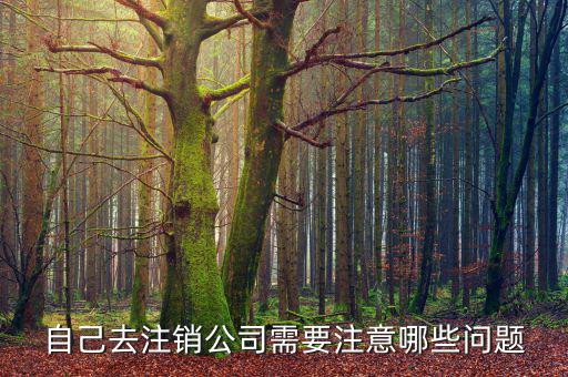 企業(yè)注銷需要注意什么，公司撤銷與注銷有哪些注意事項