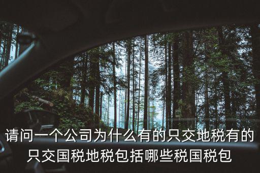 請(qǐng)問(wèn)一個(gè)公司為什么有的只交地稅有的只交國(guó)稅地稅包括哪些稅國(guó)稅包