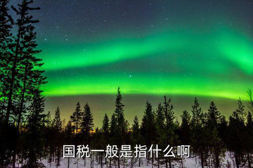 國(guó)稅指工業(yè)企業(yè)是什么意思，所屬國(guó)稅是什么意思