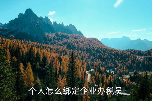 辦稅人員該綁定什么人，個人怎么綁定企業(yè)辦稅員