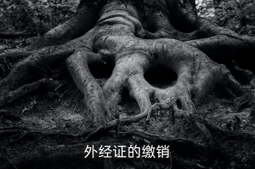 廈門繳銷外經(jīng)證國稅什么資料，廈門國稅需銷項合同是什么