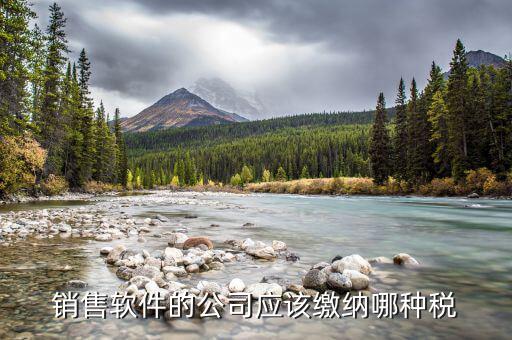 軟件營(yíng)銷應(yīng)該上什么稅，銷售軟件交什么稅