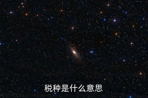 維護稅種什么意思，稅總維護是什么意思