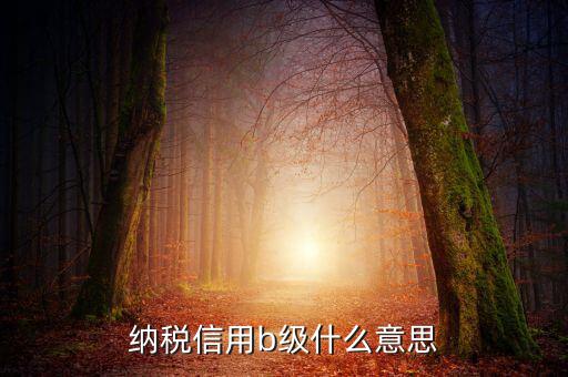 國稅信用評級是b 是什么意思，納稅信用等級評定為B級 什么意思呢有什么說法嗎