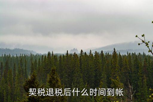 退稅款什么時(shí)候到賬，出口退稅款一般多久到賬