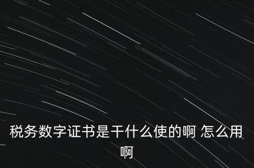 國稅ca數(shù)字證書是什么，稅務(wù)數(shù)字證書是干什么使的啊 怎么用啊