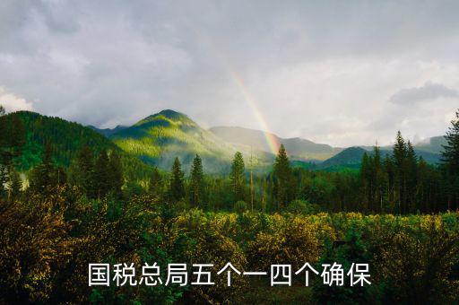 稅務局五個一是什么意思，國稅總局五個一四個確保
