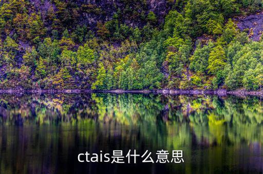 ctais是什么意思，ctais中增值稅認(rèn)定級(jí)別是什么意思