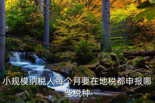 小規(guī)模納稅人每個(gè)月要在地稅都申報(bào)哪些稅種