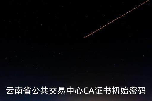 ca原始密碼登錄是什么，蘇州投標(biāo)ca初始密碼