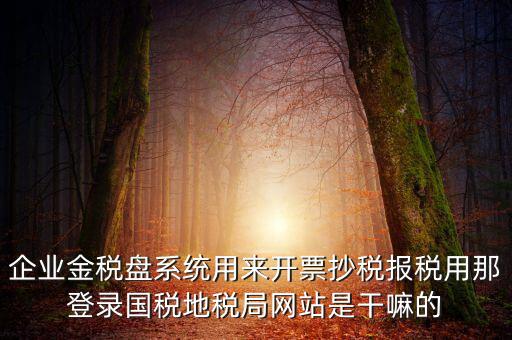 企業(yè)金稅盤系統(tǒng)用來開票抄稅報(bào)稅用那登錄國稅地稅局網(wǎng)站是干嘛的