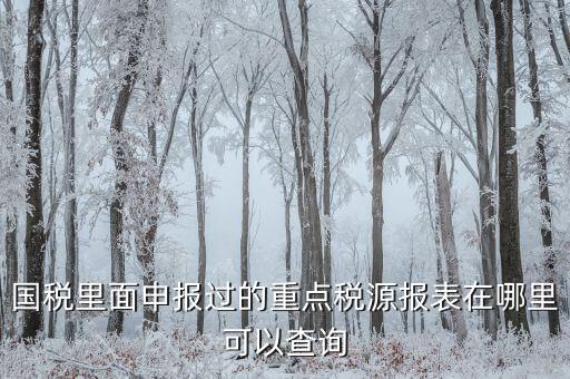 重點(diǎn)稅源預(yù)測網(wǎng)址是什么，國稅里面申報過的重點(diǎn)稅源報表在哪里可以查詢