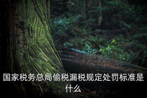 四稽國稅罰是什么意思，國稅局罰款結(jié)案是什么意思