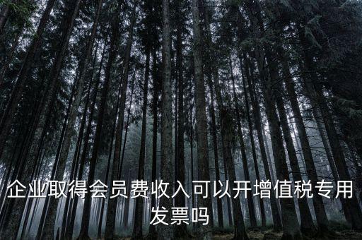 會費收入開什么票，協(xié)會能開哪些發(fā)票