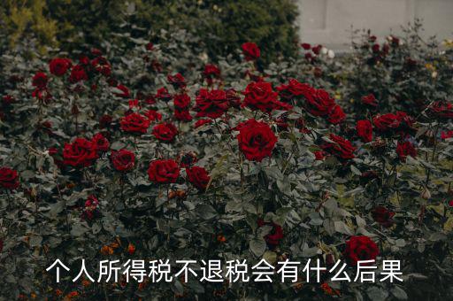 所得稅多交沒有退抵稅會有什么問題，個人所得稅不退稅會有什么后果