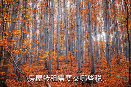 轉(zhuǎn)租房屋需要交什么稅，房屋轉(zhuǎn)租需要交哪些稅