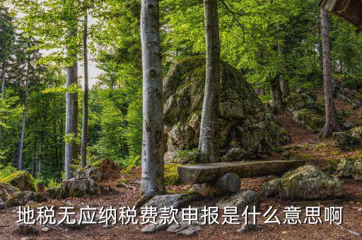 地稅無(wú)稅申報(bào)包括什么，地稅申報(bào)表無(wú)稅申報(bào)是什么意思我這個(gè)月要0申報(bào)是點(diǎn)擊