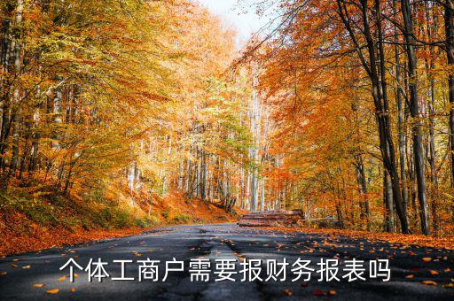 個(gè)體戶都需要申報(bào)什么表，個(gè)體工商戶需要報(bào)財(cái)務(wù)報(bào)表嗎