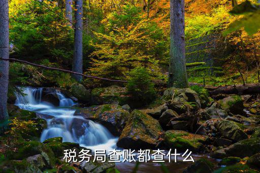 稅務局查的是什么發(fā)票，稅務局公司查發(fā)票進項還是銷項