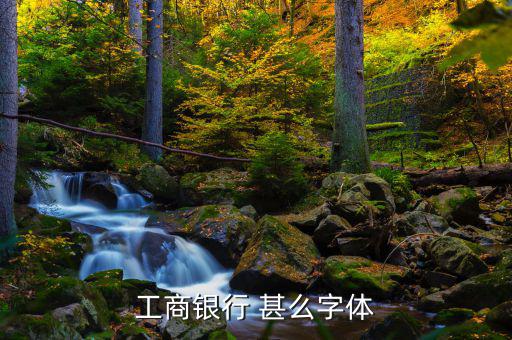 工商銀行用的是什么字體，中國工商銀行的標(biāo)志里面的字母是什么字體