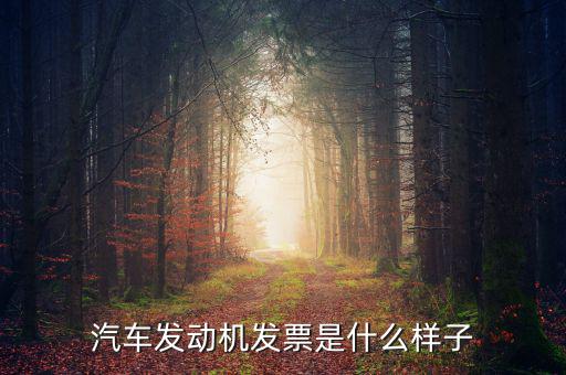 國稅出的機動車發(fā)票是什么樣的，汽車發(fā)動機發(fā)票是什么樣子