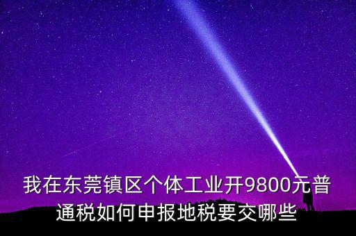 我在東莞鎮(zhèn)區(qū)個(gè)體工業(yè)開9800元普通稅如何申報(bào)地稅要交哪些