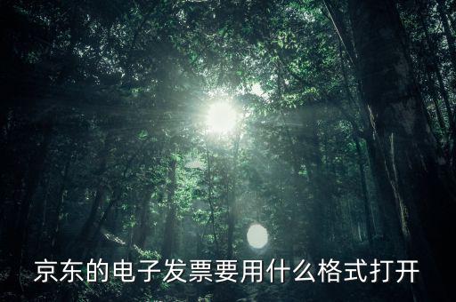 京東的電子發(fā)票要用什么格式打開(kāi)