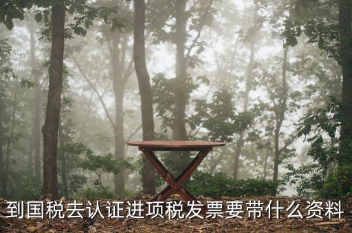 常州國(guó)稅認(rèn)證發(fā)票需要帶什么，到國(guó)稅認(rèn)證發(fā)票時(shí)需要帶什么資料