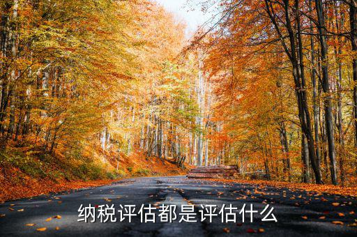 什么是稅務(wù)局企業(yè)評估，納稅評估都是評估什么