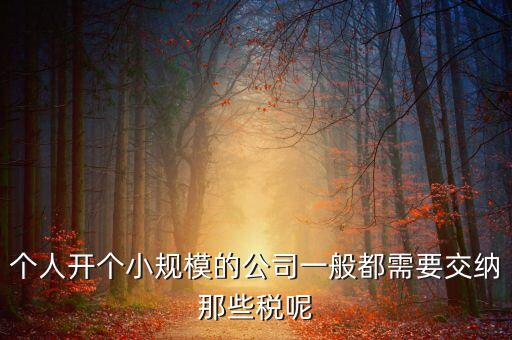 個(gè)人開(kāi)辦水廠(chǎng)需要什么稅，自來(lái)水公司的水廠(chǎng)要交房產(chǎn)稅和土地使用稅嗎