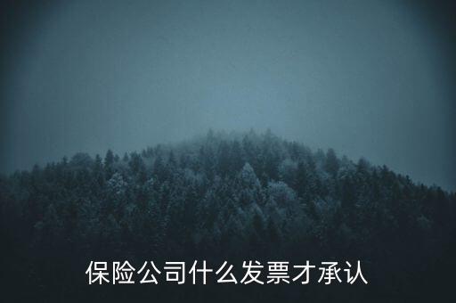 保險公司要什么發(fā)票，保險公司什么發(fā)票才承認