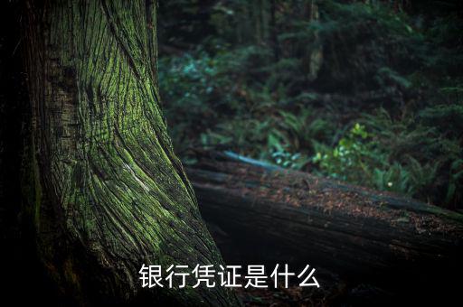 銀行劃款憑證是什么，銀行憑證是什么