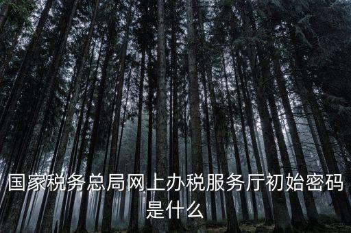 國家稅務總局網上辦稅服務廳初始密碼是什么