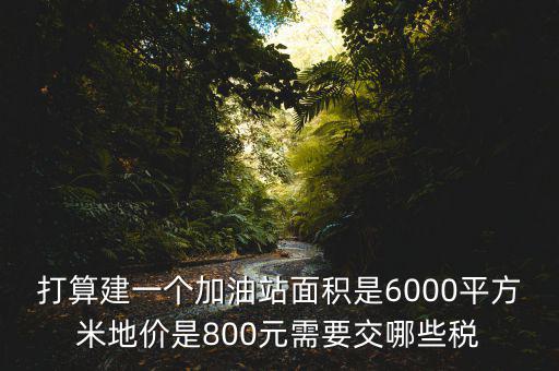加油站都繳什么稅，打算建一個(gè)加油站面積是6000平方米地價(jià)是800元需要交哪些稅