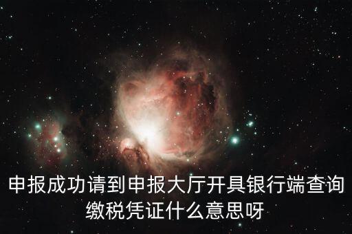 申報成功請到申報大廳開具銀行端查詢繳稅憑證什么意思呀
