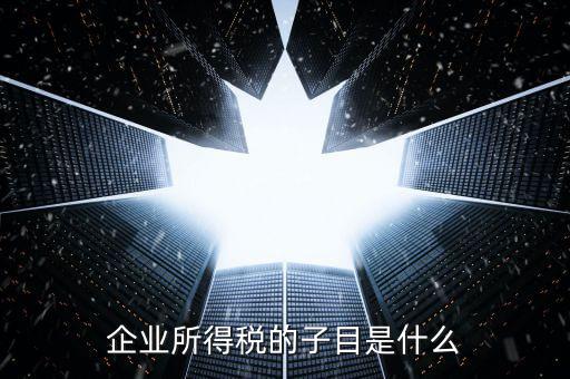 企業(yè)所得稅征收品目是什么，征收品目是什么