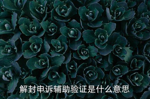 解封申訴輔助驗證是什么意思
