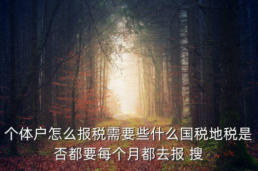 個(gè)體戶(hù)報(bào)稅都報(bào)什么，個(gè)體戶(hù)怎么報(bào)稅需要些什么國(guó)稅地稅是否都要每個(gè)月都去報(bào) 搜