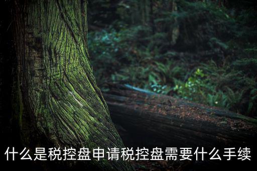 稅控盤制證是什么，去稅務(wù)局辦理稅控盤需要什么資料流程怎么走呢