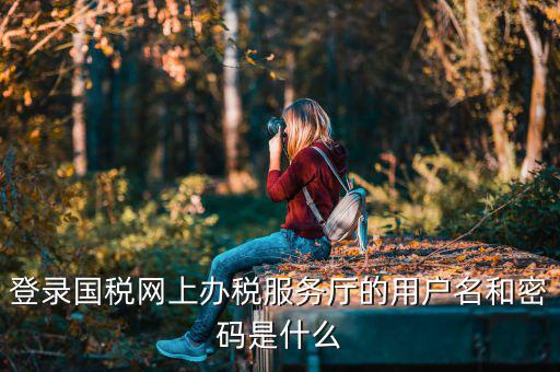 陜西電子稅務局登錄賬號是什么，登錄國稅網上辦稅服務廳的用戶名和密碼是什么