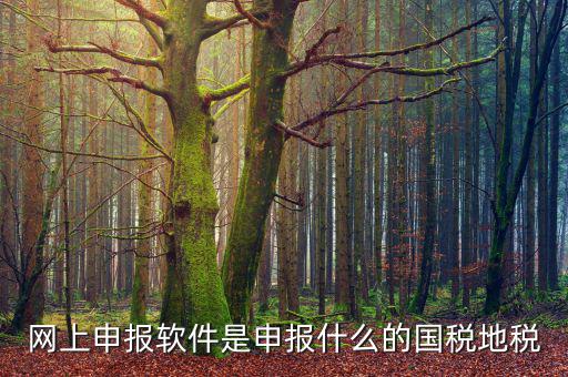 國稅微信申報什么意思，國稅網(wǎng)上申報怎么回事