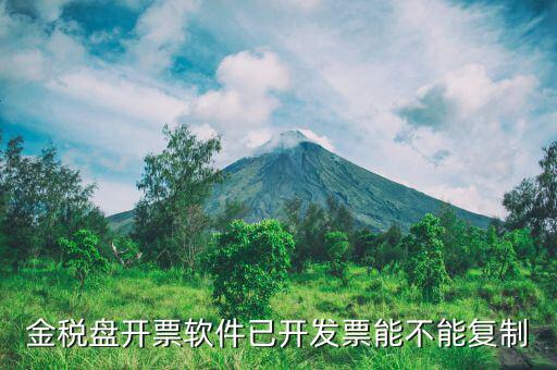 什么發(fā)票能進行復(fù)制發(fā)票操作，如何將Excel中制作的發(fā)票專業(yè)發(fā)票復(fù)制到Word文檔中并且格式