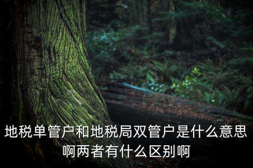 單管戶什么意思，地稅單管戶除了飲食行業(yè)外還有哪幾個行業(yè)