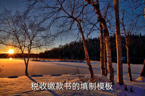 稅收繳款書字軌是什么，什么是文書字軌