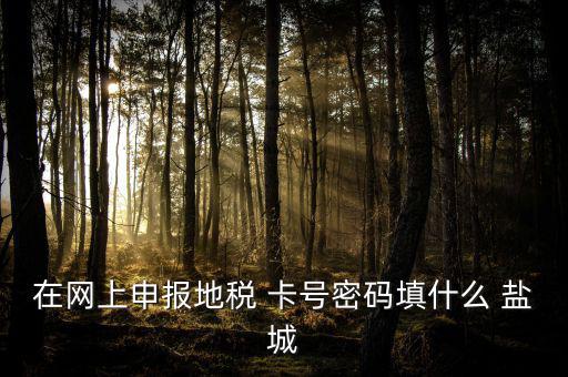 微信申報地稅的密碼是什么，地稅申報的用戶名和密碼是什么