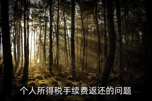 個(gè)人所得稅手續(xù)費(fèi)返還的問題