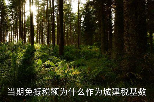 免抵稅額為什么要交城建稅，免抵稅額為什么要負擔城建稅和教育費附加